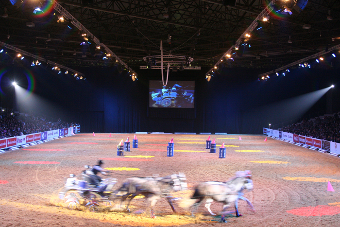 salon internacional del caballo sal 243 n internacional del caballo siluj blog siluj salon internacional del caballo sal 243 n internacional del caballo siluj blog siluj