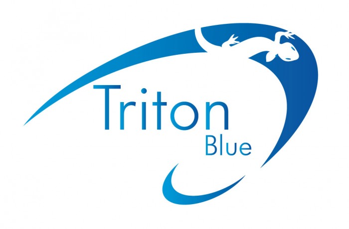 Blue Triton Long Hair - Etsy - wide 2